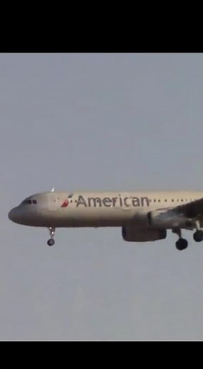 American Airlines Smooth Landing at LAX 25L Epic Plane Spotting from Proud Bird Viewpoint