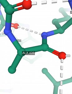 Geometric Graph Representation Learning on Protein Structure Prediction | Proceedings of the 27th ACM SIGKDD Conference on Knowledge Discovery & Data Mining