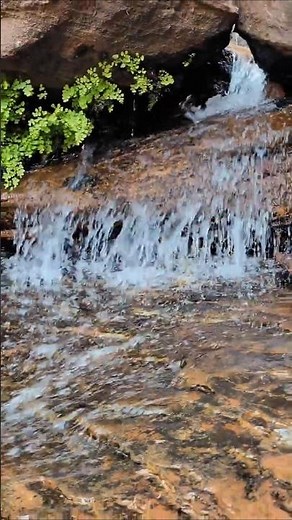 A beautiful hike in Zion, Emerald Pools Trail. #fyp #hiking #outdoors #nature #adventure