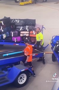 I wanna travel like this pool noodle! On Southwest pool noodles dont just fly free they get a noodle party in baggag claim. This is why I ADORE Sourthwest! Video from @sydneyfowls05 on TikTok | A Fly Guy's Cabin Crew Lounge