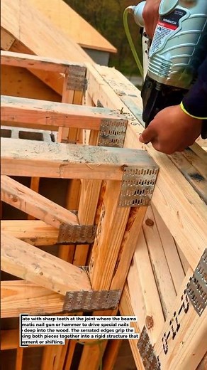 Strong & Fast! Joining Wood with Toothed Plates