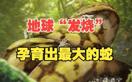 5800万年前，地球出现最大的蛇：泰坦蟒