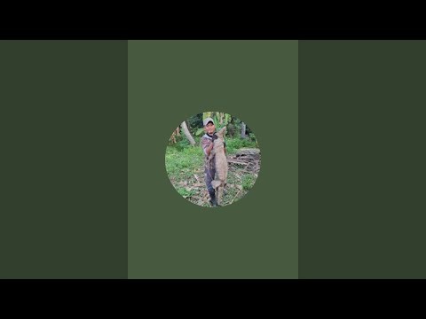 Jejak Si Kemal sedang live sekarang!