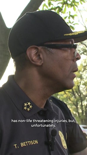 22K views · 472 reactions | UPDATE Two people, including a 4-year-old, were killed and a third person was injured in a shooting Friday evening on Detroit's east side. According to the Detroit Police Department, the shooting happened at Skinner Playfield near Morang Avenue and Duchess Street. Police say the other deceased victim was described as 18 years old. The third victim, a 17-year-old, was taken to the hospital. | CBS Detroit | Facebook