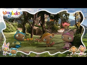 Waybuloo - FULL EPISODE 🧘🌳 Season 3, Episode 12