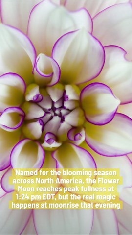 Don't miss it: How & when to see the flower moon