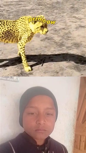 Hello everyone a man is running with cheta the cheta injured the man#animals#colab#shorts #shortfeed