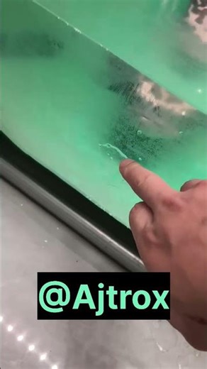 "Rare Patterned Fish 🐠 | Unique Aquarium Beauty" #trendingshorts #shorts