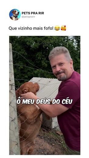 O amigo dele chegou 😂🐶