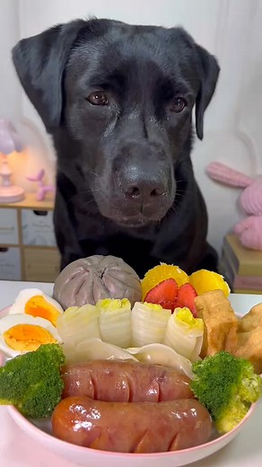 #labrador #dog #asmr | Beauty Pets