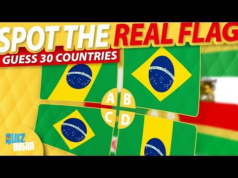 Guess the Real Flag 🌍 | Can You Spot the Correct One? (Flag Quiz)