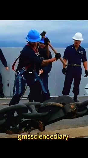 GM’s Science diary (@gmssciencediary)’s videos with original sound - GM’s Science diary