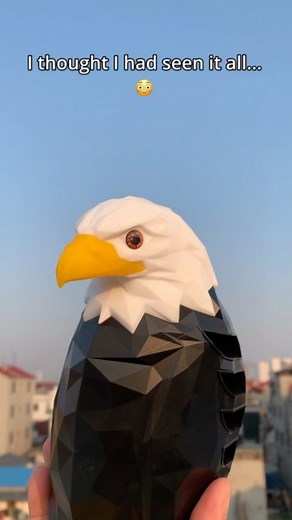 💥🦅I Love eagle ❣️🥰 Unboxed: The Spirit of an Eagle, Now Glowing on Your Wall! 🦅🔥” ✨ A 3D wall lamp that doesn’t just light your space… it lifts your soul. 🛍️ Now 50% OFF — Only on 👉 @findales 🌌 Welcome the Power of Light Freedom into Your Space Introducing the MASHUR FAB 3D LED Eagle Wall Light A stunning, modern creative wall sconce that projects the majestic eagle in flight — Casting bold shadows, ambient glow, and fierce energy into any room 💥🦅✨ 💡🔥 Why This is More Than a Lamp: ✅ 