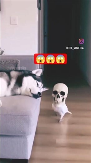 Scary Funny Skeleton Prank 😂 | Comedy Short Video #shorts