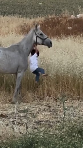 ‎حمد اللاحم | Hamad Allahem‎ on Instagram‎: "اهم شي دارس عند راهبات 藍"‎