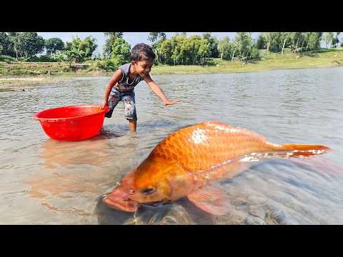Amazing Traditional Boy Fish Catching By Hand in Water | Amazing Hand Fishing Video #Fish