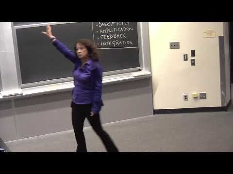 21. Cell Signaling 2 – Examples