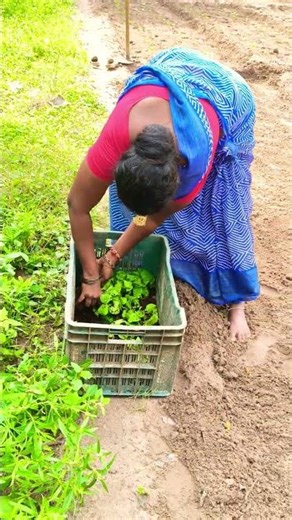 இதுக்கு முடிவே இல்லை 😭😭😭😭 விவசாயம் காப்போம் 🌾🌾🌱🌱🙏🙏🙏