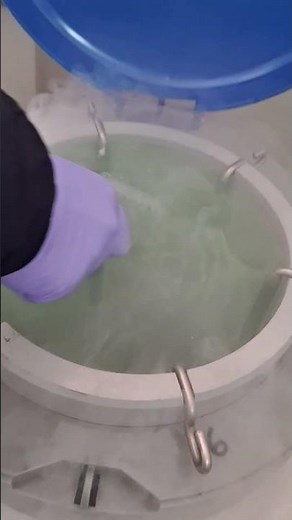 cryopreservation
