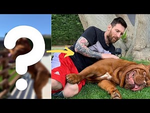 5 Unknown Facts About Messi's Dog You NEED TO KNOW!