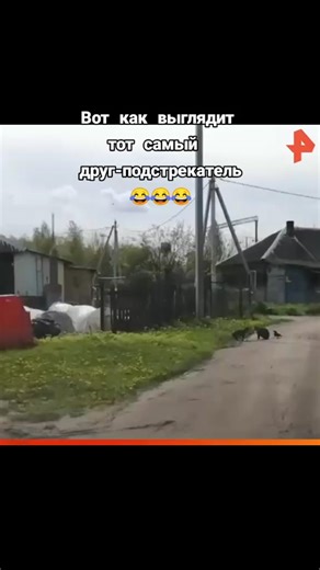 Как устроен мир по Тимофею Баженову