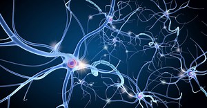 Une première : un neurone artificiel pour soigner des maladies chroniques