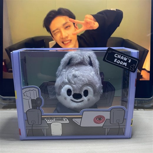 Stray Kids Bang Chan “chan’s Room” SKZOO Plush Fanmade BOX [box Only] - Etsy