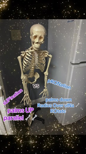 Supination vs Pronation: Understanding Arm Movements