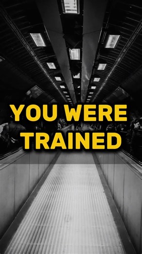 You Were Trained to Agree