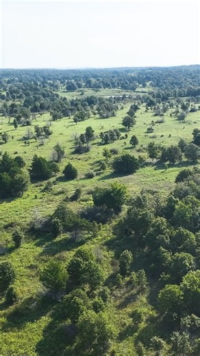 1.2K views · 11 reactions | 800± Acres of raw land near Scipio, OK. Featuring 10 ponds, one of which 13 acres, and abundant wildlife. This property offers a variety of opportunities featuring grazing, recreation and a place to build your dream home. | Cross Timbers Land LLC | Facebook