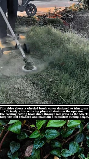 Wheeled Brush Cutter Makes Lawn Trimming Faster and Cleaner! #shorts
