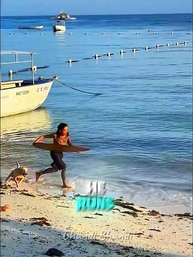 Dog's Surfing Skills Will Shock You #trending #animals #amazing