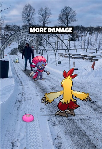 Pokémon Battle Strategies: Choosing Between Hariyama and Pangoro