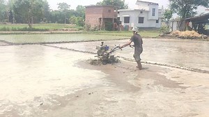 4.9K views · 40 reactions | Mini Tractor working in field  #tractor #farmerlife #agriculture #working #driving #khetibadi | Agriculture activities | Facebook