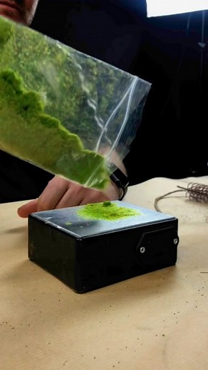 LBWK ☆ KAUWS on Instagram: "Crea Árboles Realistas para tu Diorama 1:64 en Casa 🌲 #diorama #maquetas #escala164 #manualidades"