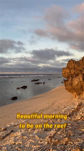 Family Holiday 2025-2026 Part. 4 #norightstothemusic | Alexe Mataakama