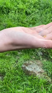 firecracker power TEST ! . . . 2024 streetwear trends are all about blending comfort, functionality, and bold style statements. Here are some of the hottest trends dominating the scene: - *Gorpcore*: Inspired by hiking gear, this trend features technical garments like raincoats, puffer jackets, fleeces, hiking boots, and trail shoes. It's all about being prepared for the outdoors, even if you're just running errands ¹. - *Oversized Everything*: Baggy shorts, hoodies, and pants are making a comeb