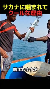 魚に噛まれてもクールな理由