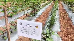 Agriculture India on Reels