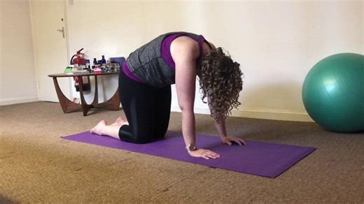 Cat / Camel back stretch | Hazel Dillon