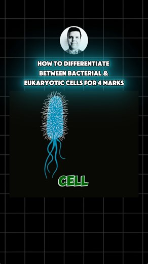 🔴 Predicted IAL Biology questions for 2026 Exams - Part 1 (the prokaryotic cell Unit 2 -WBI12) The Prokaryotic Cell 🦠 Prokaryotes, such as bacteria, are organisms that lack a nucleus. Here are the unique structures found in every bacterial cell: 1. Nucleoid 🧬: A circular DNA structure containing most of the genetic material. 2. Cell Wall 🧱: Made of peptidoglycan, a polymer consisting of sugars and amino acids. 3. Small Ribosomes 🔬: Also known as 70s ribosomes, these are a smaller version co