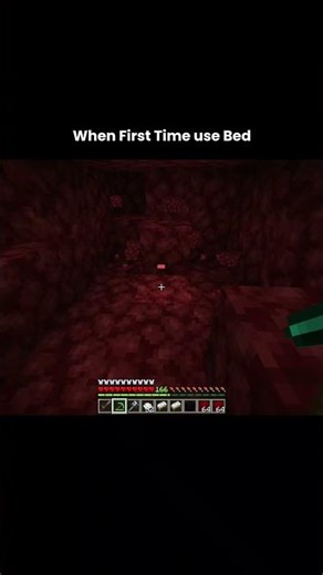 Minecraft Neither Bed Moment