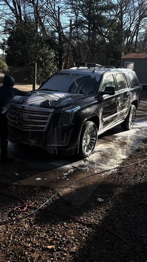 Car Detailing Essentials for a Fresh Look