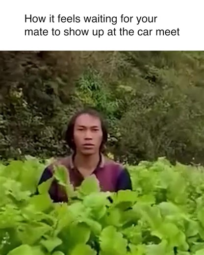 Hello r u here yet 📲 | HSV - Holden Special Vehicles