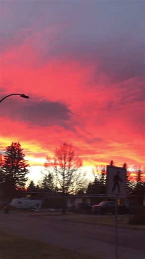 Welcome back to today’s broadcast IMG 8362