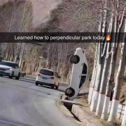 memes | Follow @li8.memes for memes | Instagram