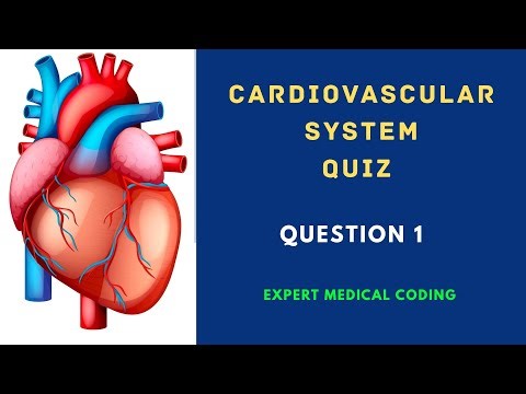 Cardiovascular System Quiz | Question 1 | Anatomy & Physiology MCQ with Answer and Rationale