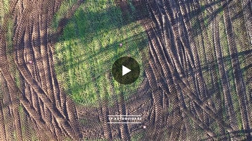 #issat #redon #cneap #cneapbretagne #bts | Lycée ISSAT