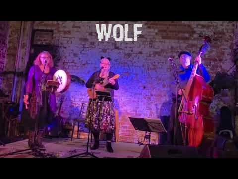 Wolf by First Aid Kit - 2012 (Ukulele cover by The Vintage Vixens)