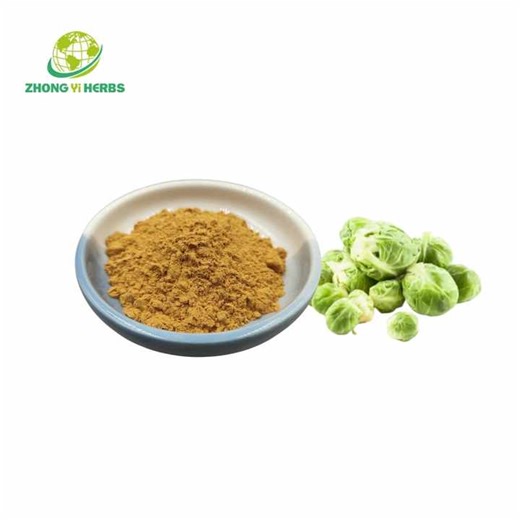 Bulk Natural Cabbage Extract Powder Red Purple Cabbage Powder